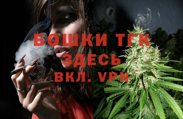 стаф Михайловск
