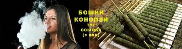 стаф Михайловск