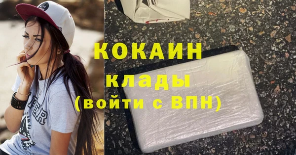 шишки Михайловка