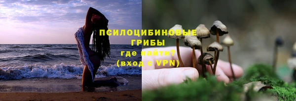 шишки Михайловка