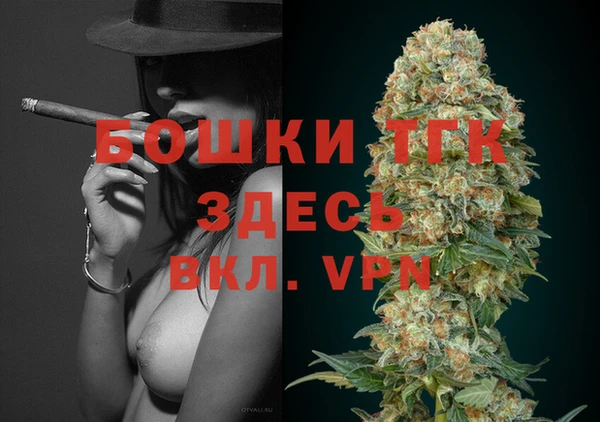 стаф Михайловск
