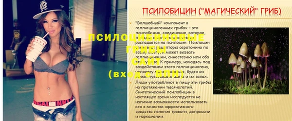шишки Михайловка